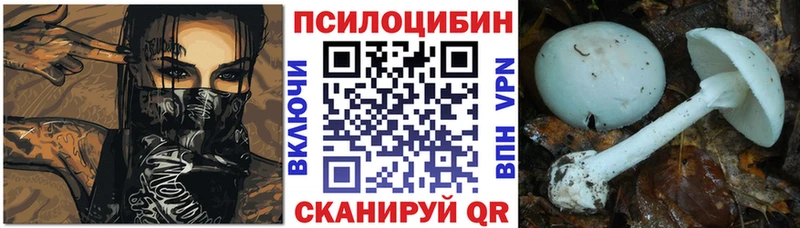 Галлюциногенные грибы Psilocybine cubensis  ссылка на мегу   мориарти какой сайт  купить закладку  Красногорск 