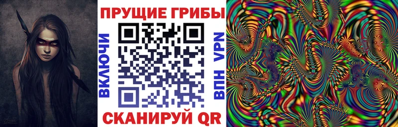Галлюциногенные грибы Psilocybine cubensis Красногорск